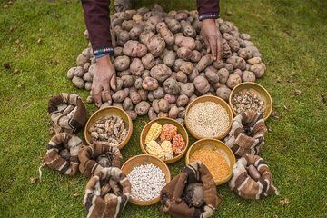 Potato Park - Pisac, Cusco, Peru