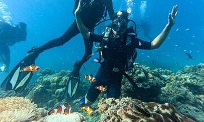 Scuba Diving in Tribe Gate