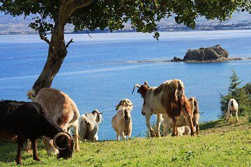 The Akamas Peninsula EcoTour Adventure