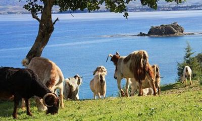 The Akamas Peninsula EcoTour Adventure