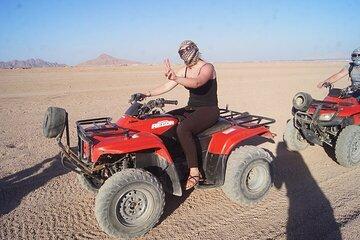 Hurghada: Fast Safari Thrilling Quad Bike & Buggy & Transfer