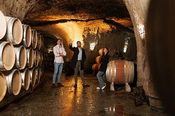 Exclusive Rioja Wine and Dining Experience from Donostia