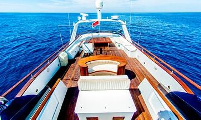 Hidden Coves of the South: Private Charter Adventure