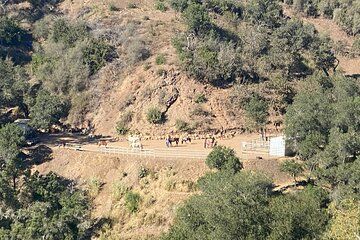 Equine Art Experience for All