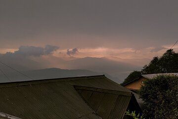 Darjeeling Forests on Foot