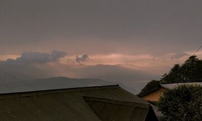Darjeeling Forests on Foot