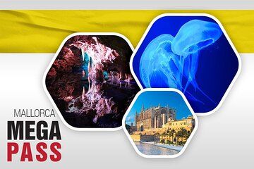 Mallorca MegaCombo Cathedral, Hams' Caves & Palma Aquarium