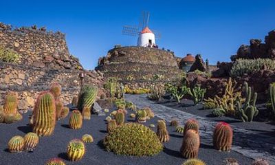 Lanzarote Private Tour: Discover César Manrique’s Masterpieces