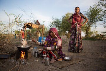 Vibrant Gujarat Tour to Tribes, Temples and The Great Rann