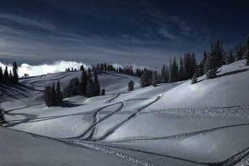 Alpine Self Guided Snowmobile Rentals