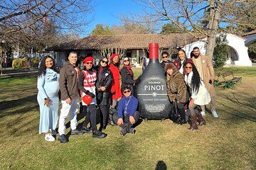 Undurraga vineyard and wines of excellence