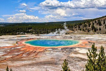 Wonders of Yellowstone Lower Loop Private Tour with Lunch
