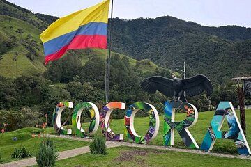 Legends of Coffee and Nature: Explore Cocora Valley’s Magic