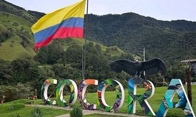 Legends of Coffee and Nature: Explore Cocora Valley’s Magic