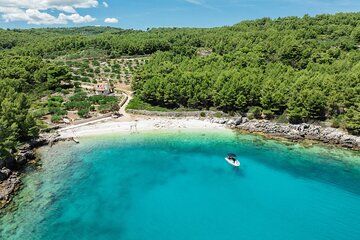 Makarska Brač Island Speedboat Tour with Swim Stop