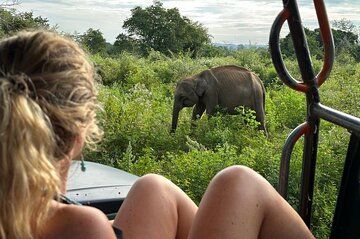 Udawalawe National Park Safari from Mirissa or Weligama