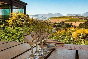Stellenbosch and Franschoek Winelands Full-Day Wine Tasting Tour