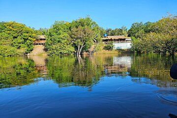 Three Days in the Amazon Jungle with Jungle Lodge from Manaus Am