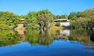 Three Days in the Amazon Jungle with Jungle Lodge from Manaus Am
