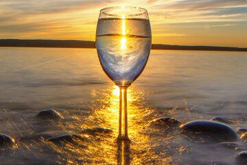 The NON BUS Torch Lake Traverse City Area Wine Tour