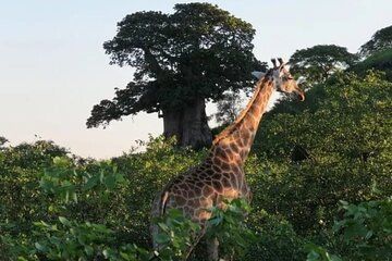 Adventure at Quiçama National Park Safari and Nature