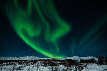 Northern Lights Tour from Akureyri