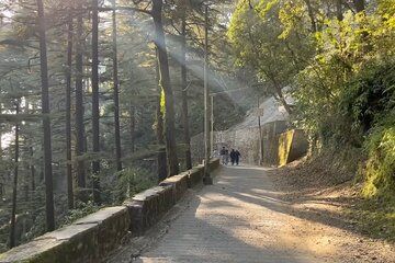 Mussoorie City Full Day Guided Tour