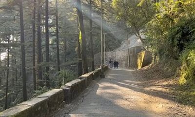 Mussoorie City Full Day Guided Tour