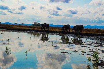 Private Safari in Mikumi National Park from Dar es Salaam
