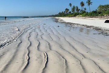 12 Day Kenya and Tanzania Wildlife with Beach Tour Zanzibar