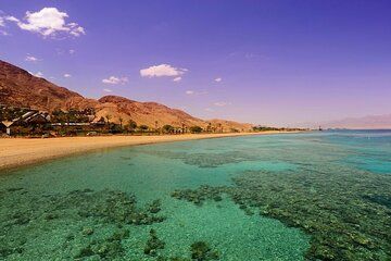 Full Day Aqaba Experience Red Sea Snorkeling and Shopping