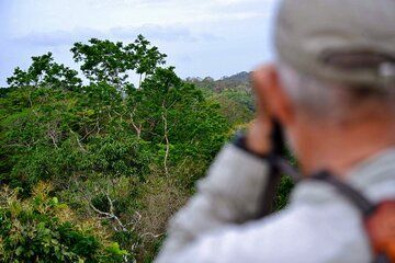 Sandakan Private City Tour, Orangutan, Sun Bears and Rainforest