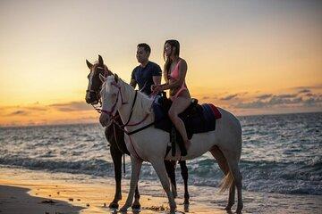 Horse Ride 2hr Sunrise Sea & Desert with Transfer - Hurghada
