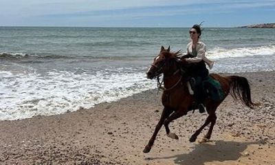 3 Hour Horse Riding & Swimming, Beach & Desert :Hurghada