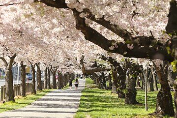 Tekapo to Christchurch Small-Group Tour (one-way)