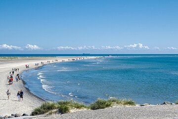 Skagen Private Half Day Tour from Cruise Port
