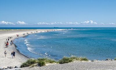 Skagen Private Half Day Tour from Cruise Port