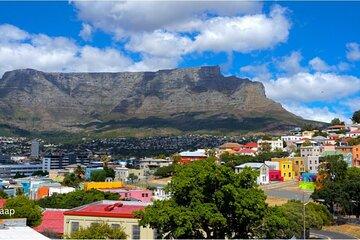 Cape Peninsula Full Day Tour with Penguins and Ocean Views