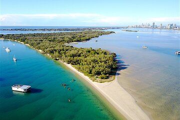 Gold Coast Discovery Kayak Tour Broadwater Nature Adventure