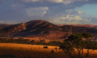 Burra Township to Mount Bryan History and Landscape Day Tour