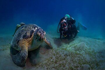 Abu Dabbab Dugong Bay Marsa Alam Tour