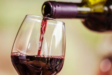 Live Sintra and Cabo da Roca and taste your best