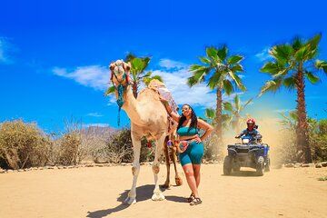 Combo 3x1 Adventure with ATV, Camel Ride, and Tequila Tasting