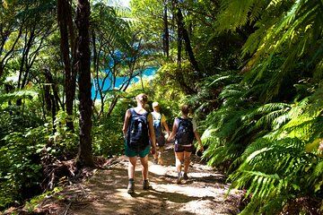 Picton Shore Excursion Kaipupu Sanctuary Water Taxi