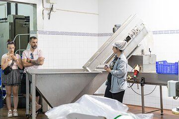 Tavira Olive Experience with Factory Tour without Tasting