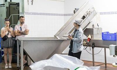 Tavira Olive Experience with Factory Tour without Tasting