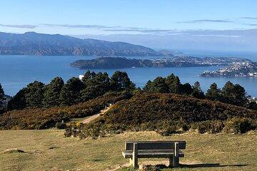 Wellington: Wild Skyline Guided Hiking Tour, Transfers + Lunch