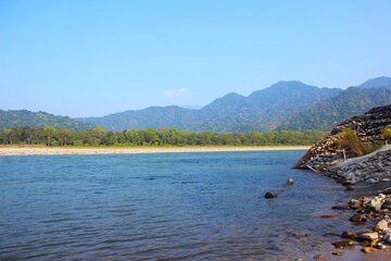 Manas National Park Safari, Lunch with pick up from Guwahati