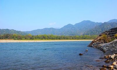 Manas National Park Safari, Lunch with pick up from Guwahati