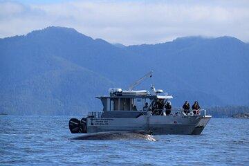 Sitka Alaska Marine Wildlife Tour